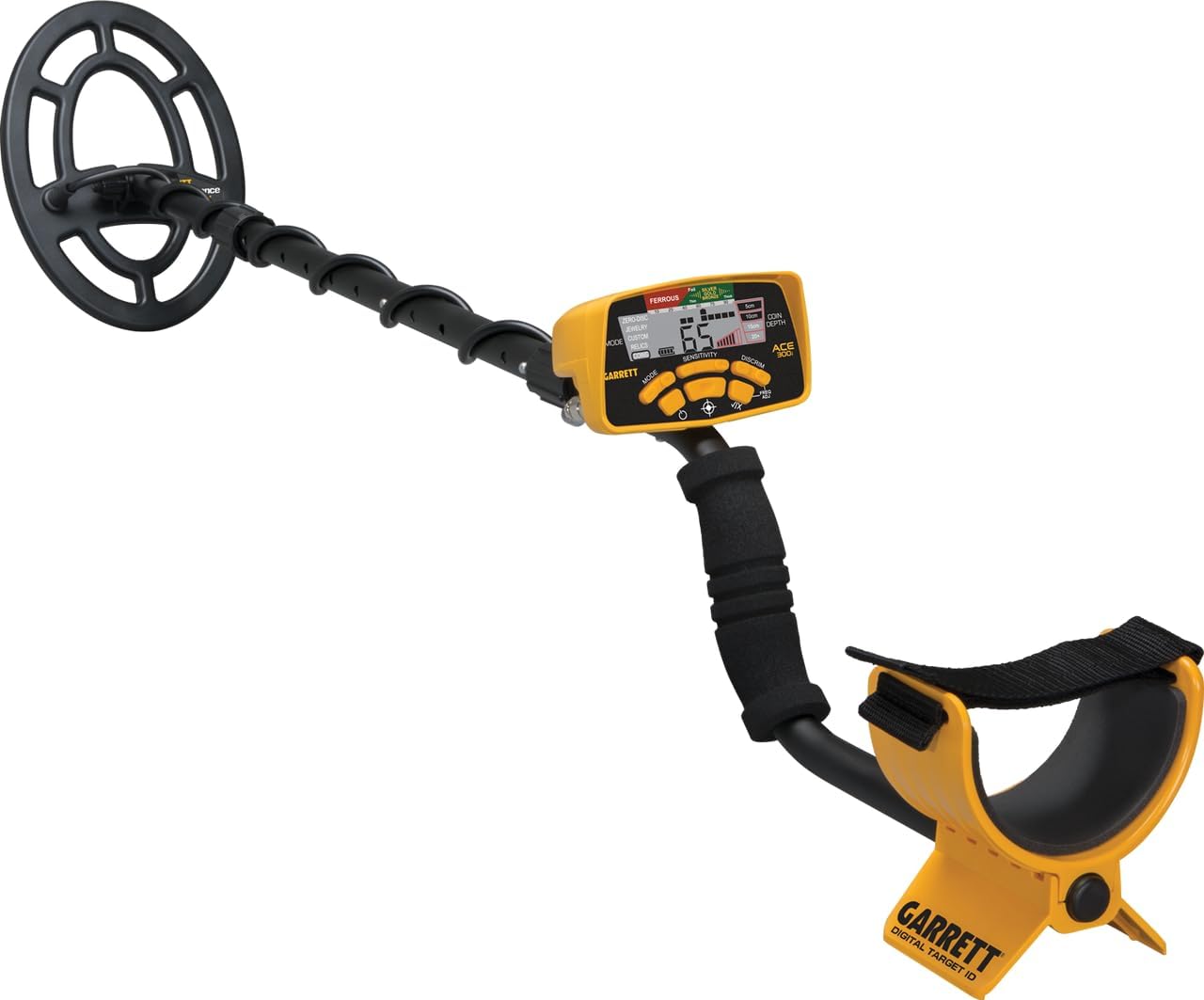Metal Detector rental in Orillia