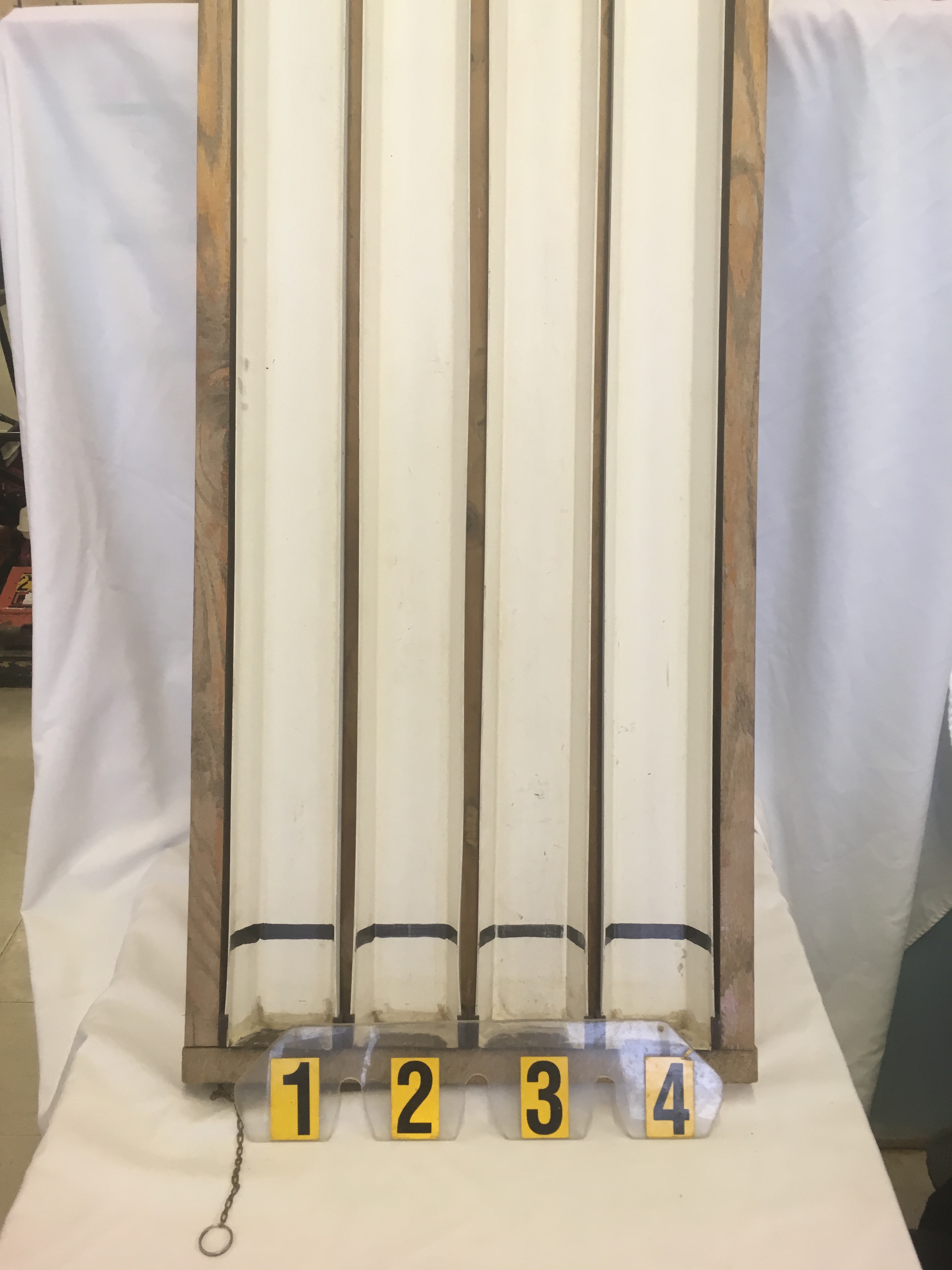 Minnow Race rental in Orillia